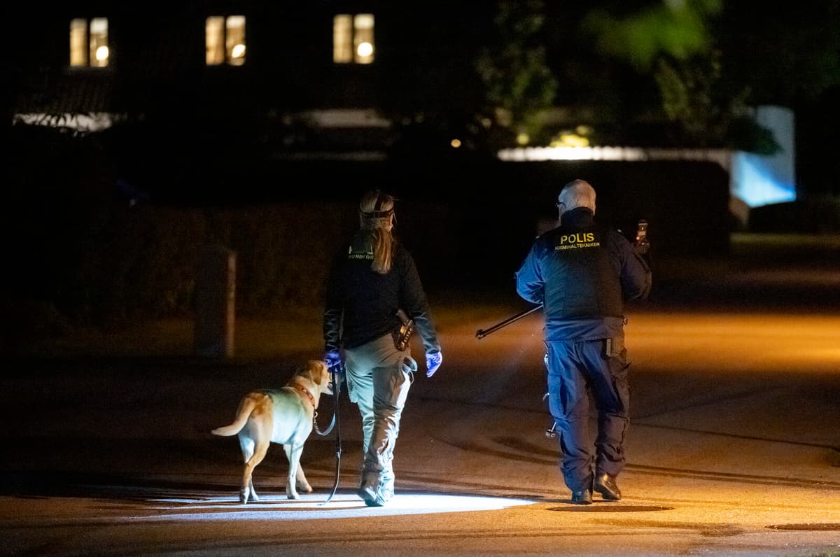 Police Rebuild Dog Patrol Cars for Quieter, Safer Rides