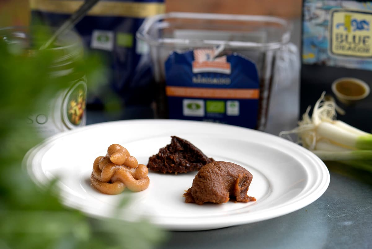 Space Miso: Fermentation in Orbit Alters Flavor and Color