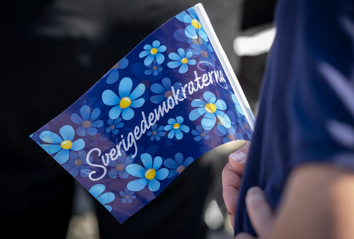 Sweden Democrat Criticized for Remarks on Journalists and Imprisonment