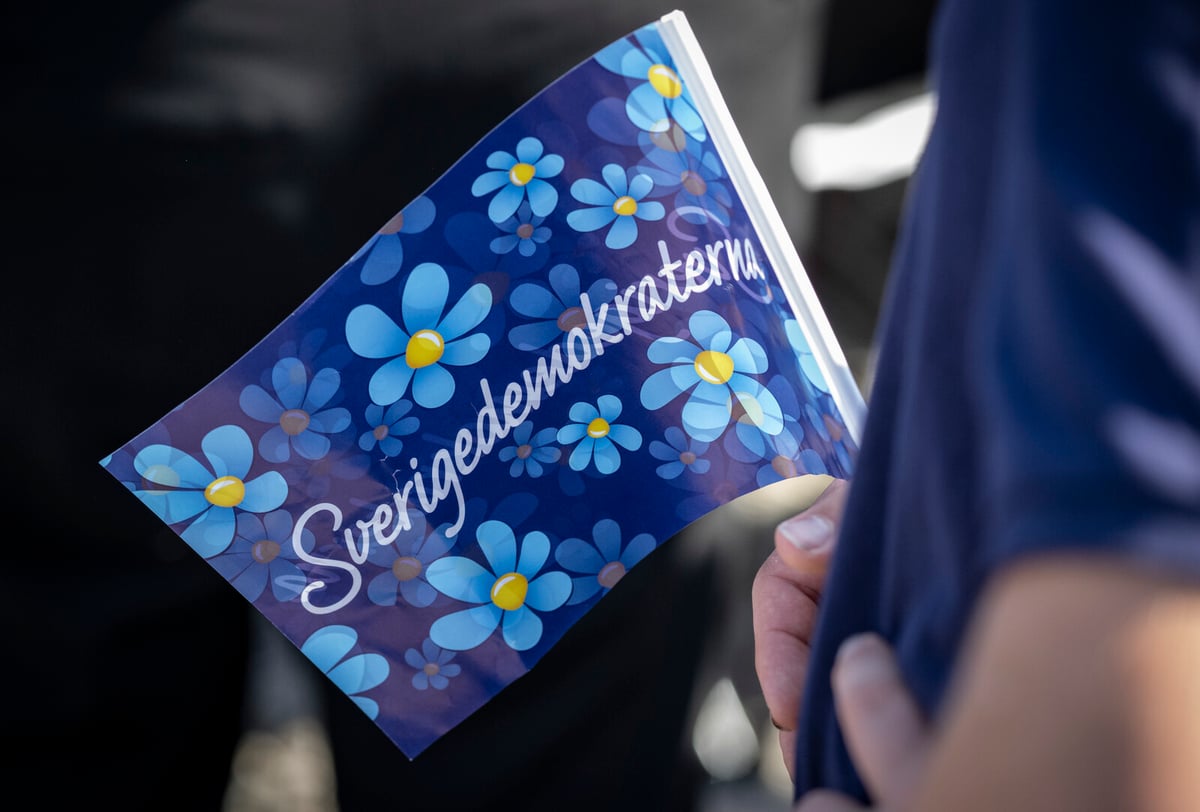 Sweden Democrat Criticized for Remarks on Journalists and Imprisonment