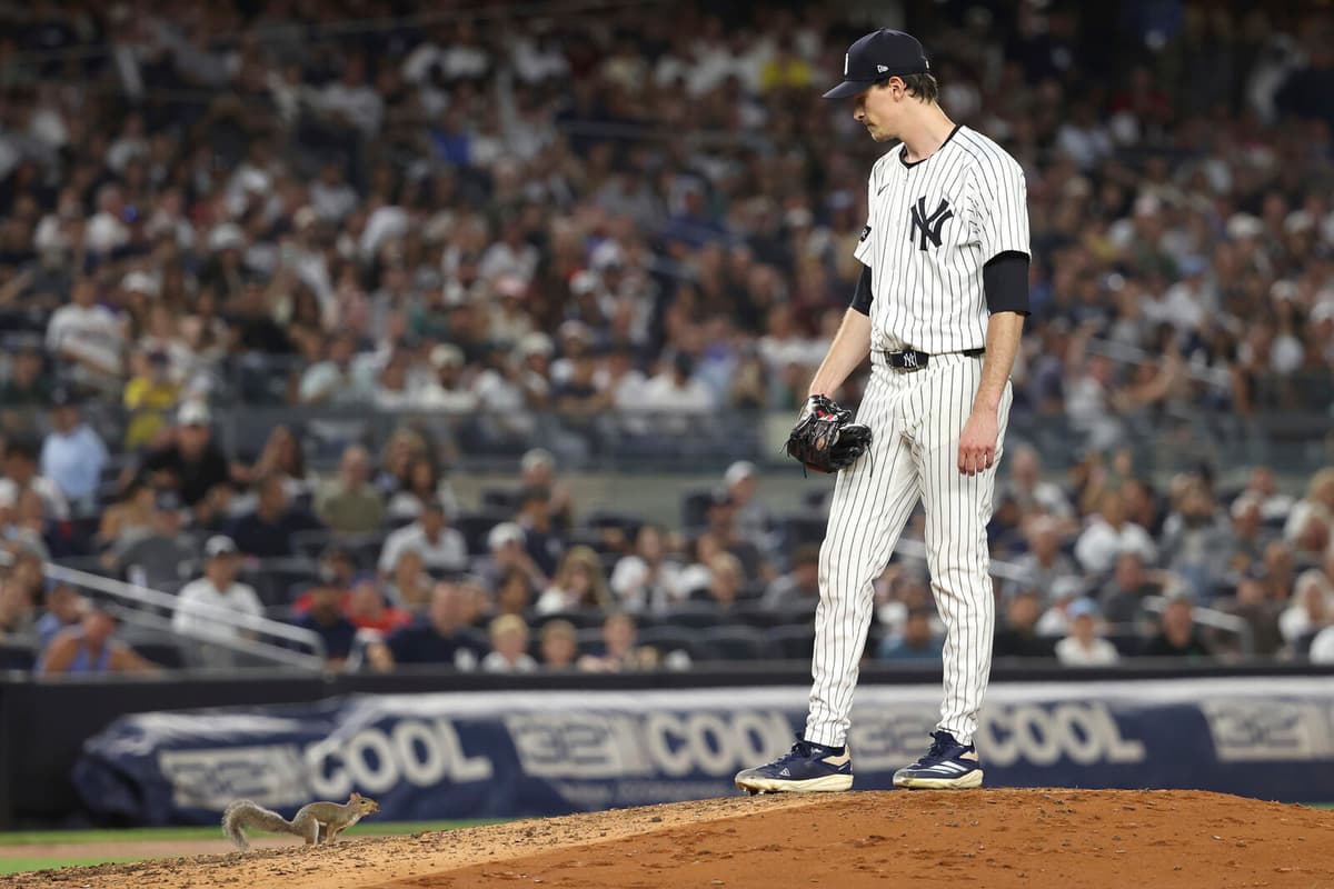 Squirrel at Yankee Stadium Gets Its Own Baseball Card