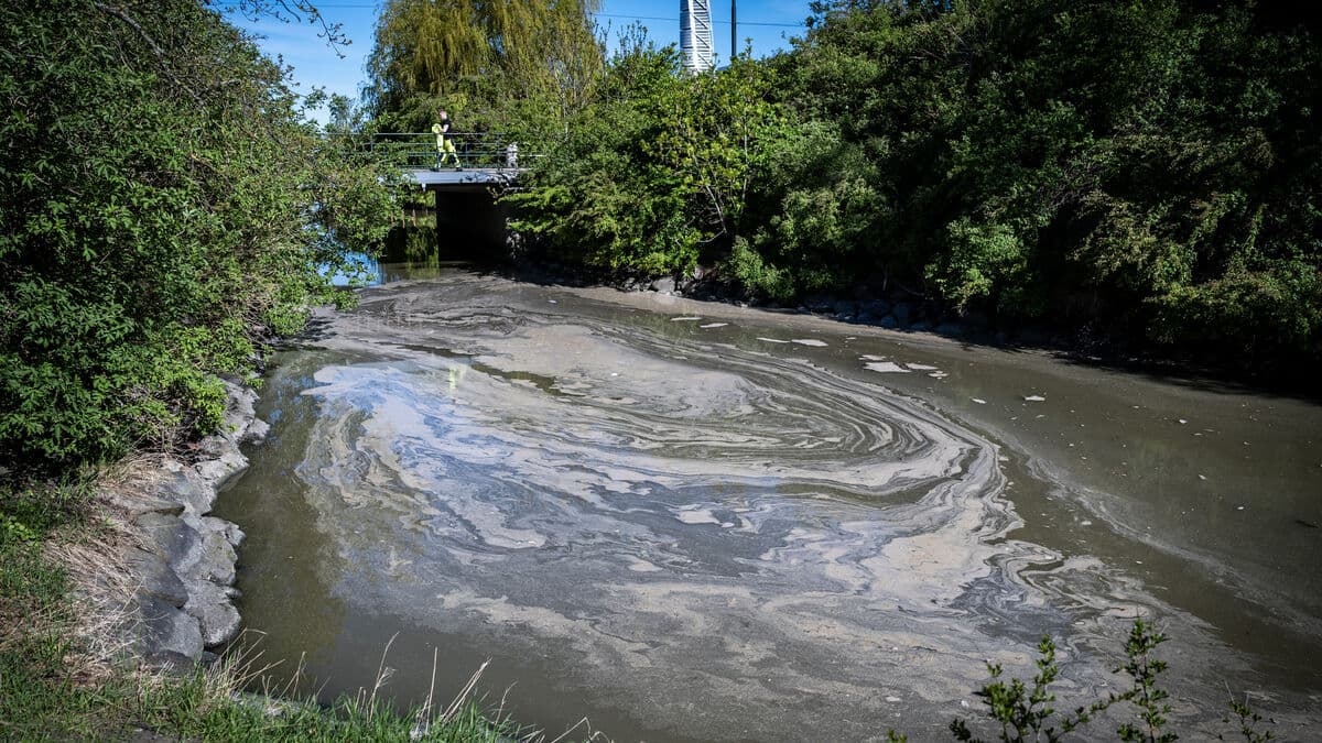 After the sewage leak in Malmö, swimming ban lifted