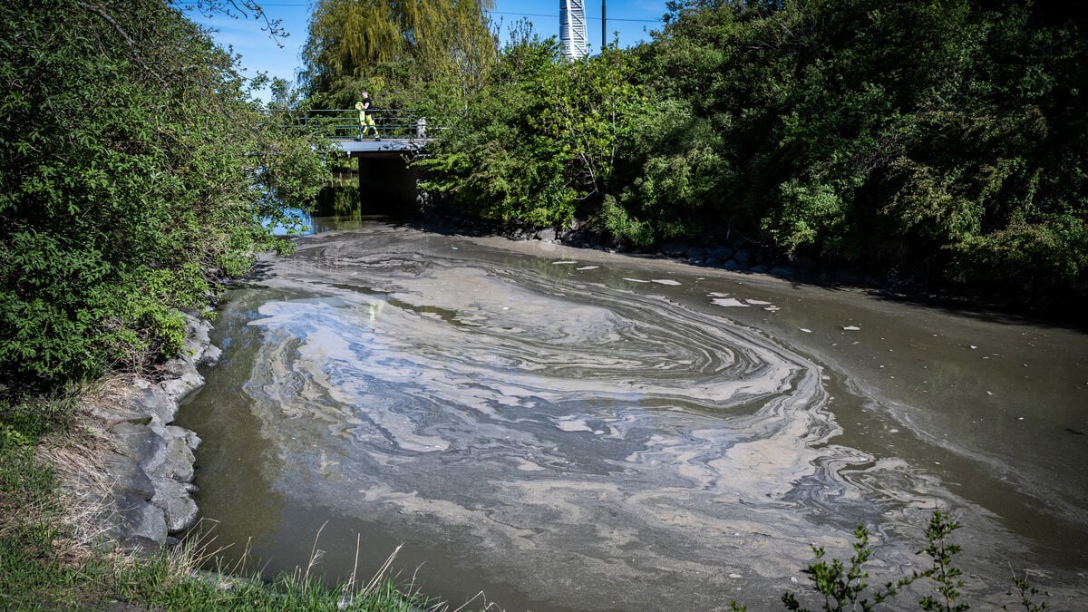 After the sewage leak in Malmö, swimming ban lifted