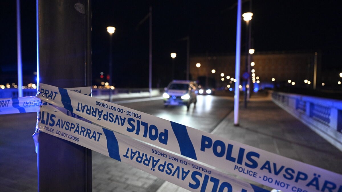 Man shot by police outside Stockholm’s Royal Palace remanded in custody