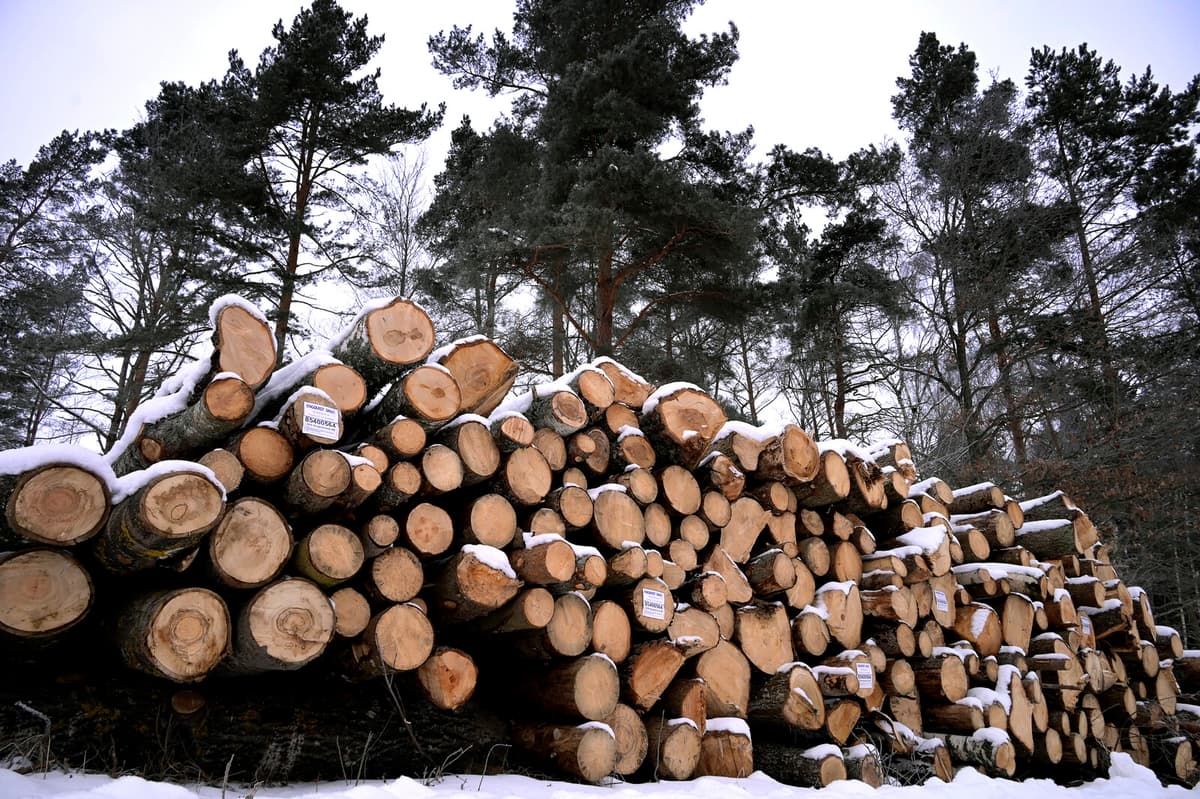 Basic Industry Warns of Potential Layoffs Amid Weak Recovery Signs