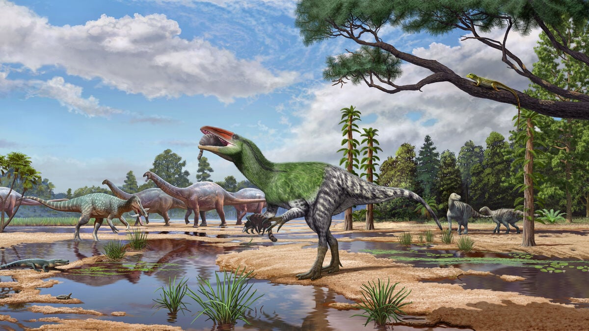 New carnivorous dinosaur species identified in museum box after more than 100 years