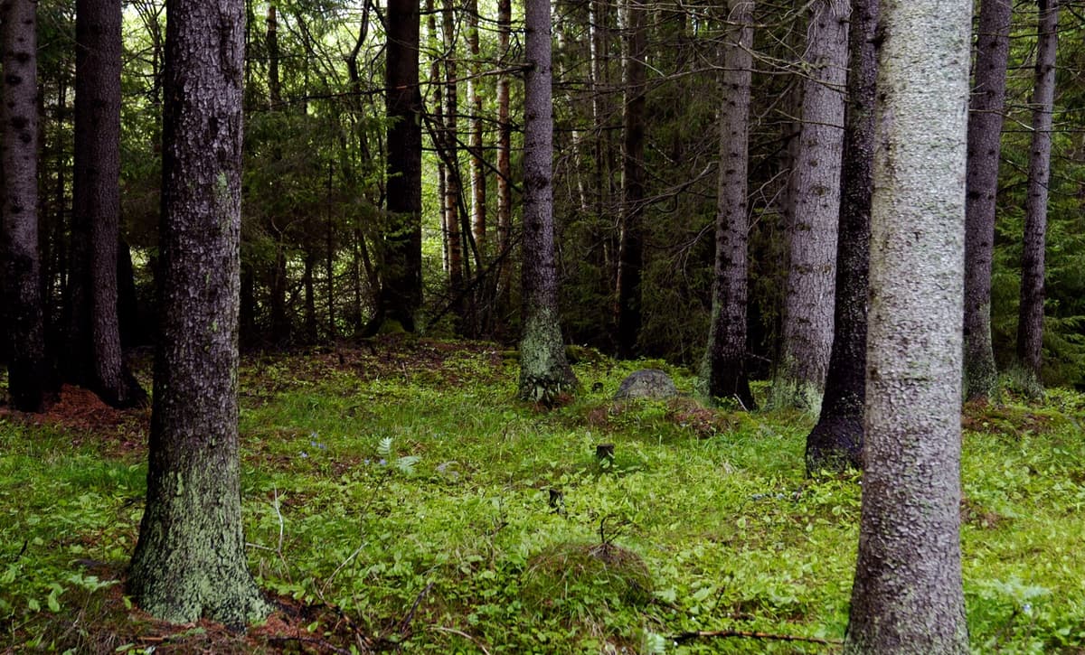 Large Hand Grenade Find to be Detonated on Friday