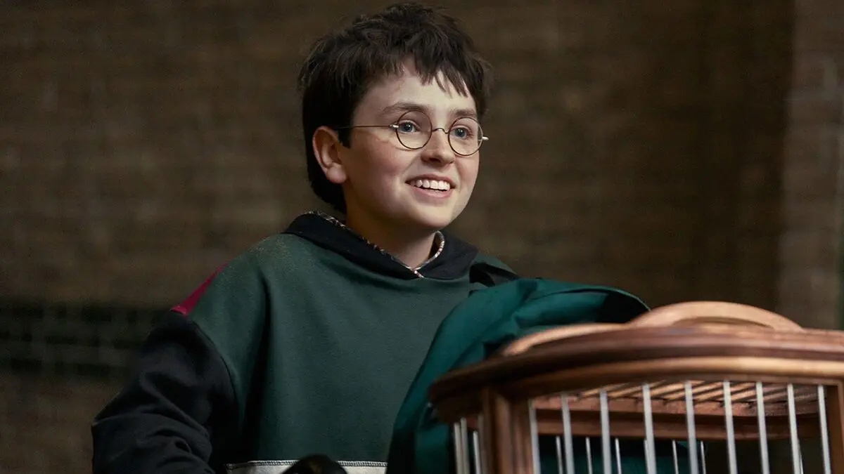 New Harry Potter TV series to premiere this Christmas