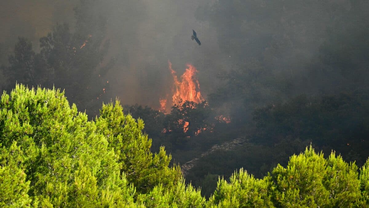 Thousands Evacuated as Wildfires Spread Across Southern France