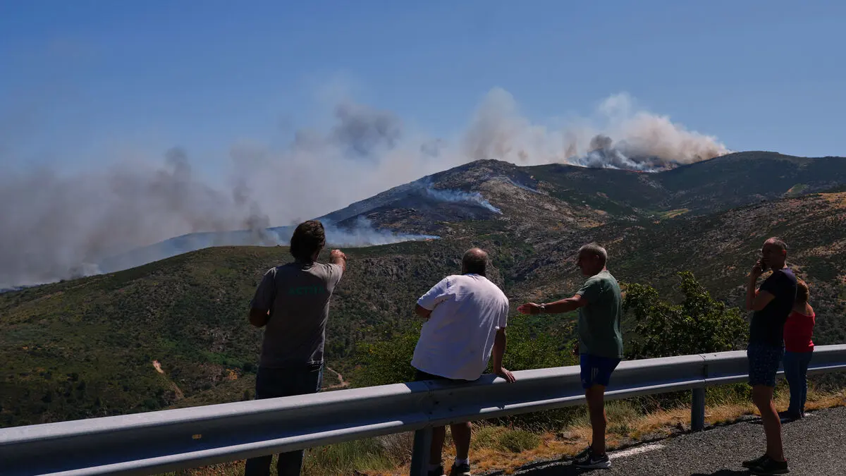 WHO warns of sharp rise in forest fires across Europe