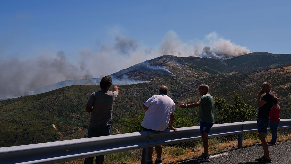 WHO warns of sharp rise in forest fires across Europe