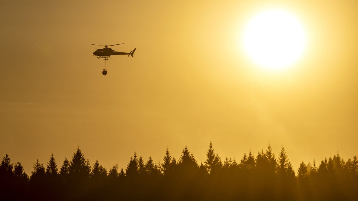 Forest fire warning in large parts of Sweden