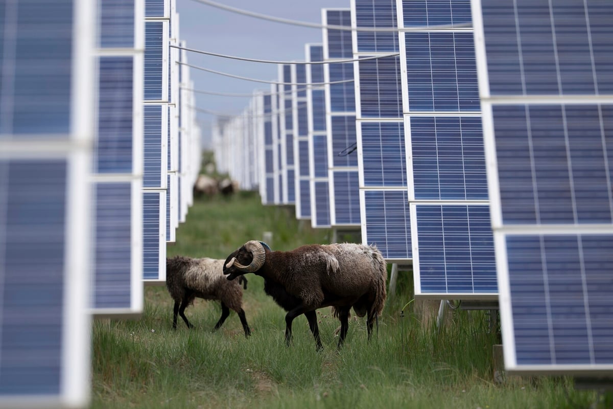 China's Giant Solar Park in Qinghai: A Symbol of Green Transformation