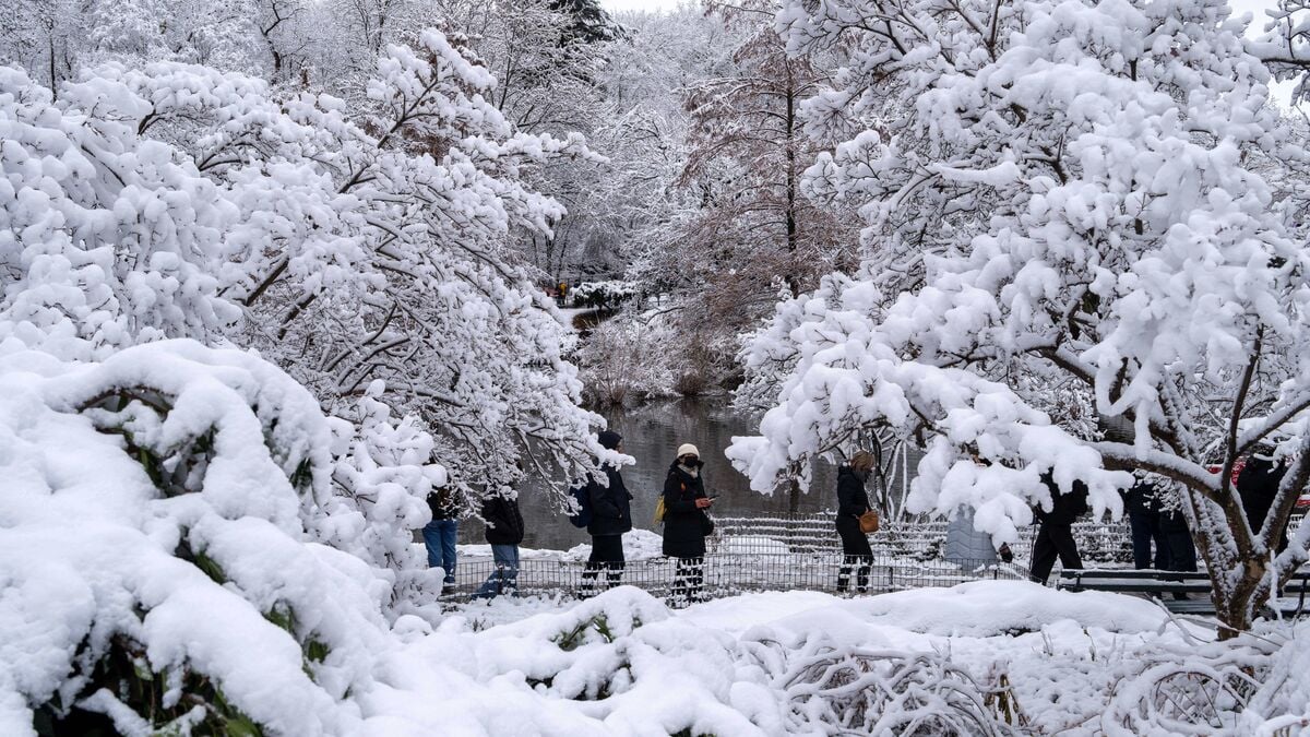 Canceled flights and snow-covered New York after the winter storm