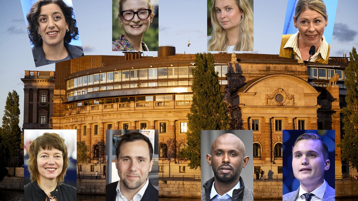 New Riksdag has 97 newcomers, with the Left Party fielding the most new MPs