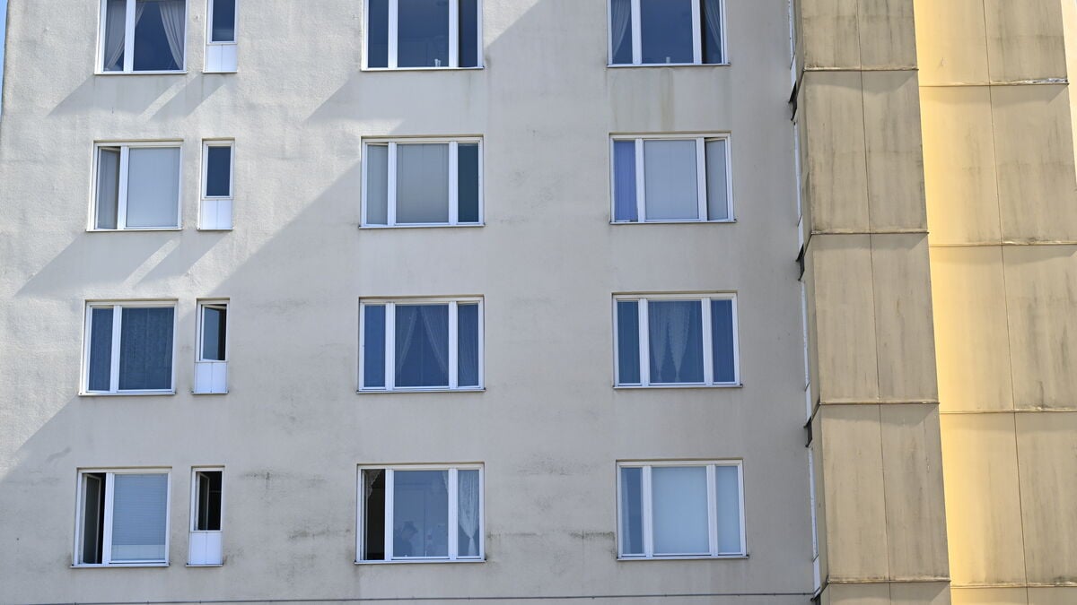 Rental households pay the largest share for housing
