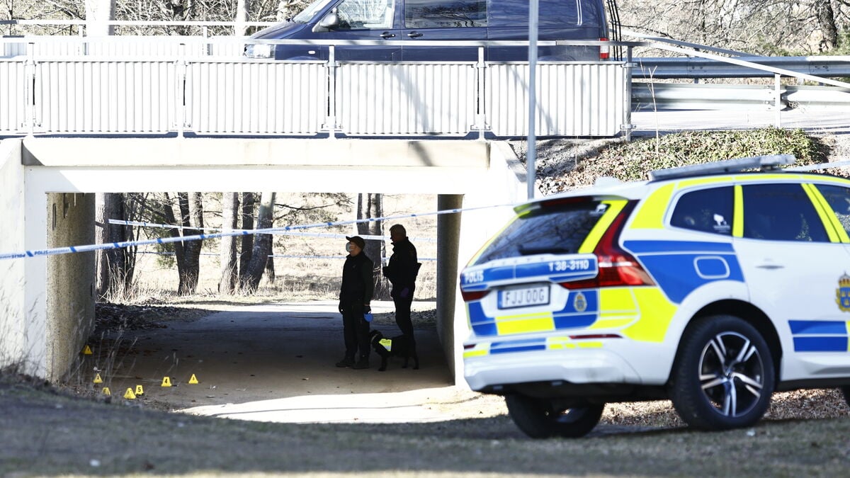 Two 17-year-olds to be sentenced in Court of Appeal after man in his 20s shot four times at Södertälje subway station
