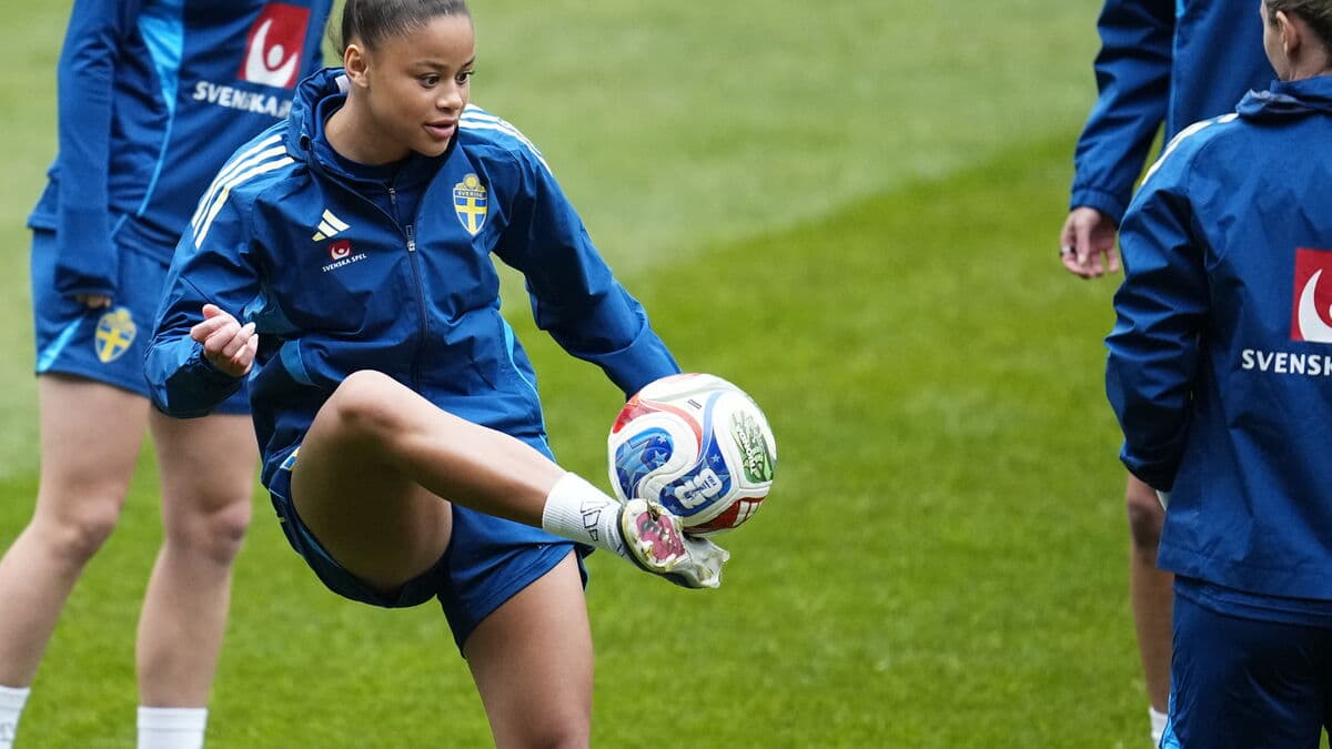 Guide: Sweden's hunt for a World Cup ticket to Brazil next year - meets Denmark