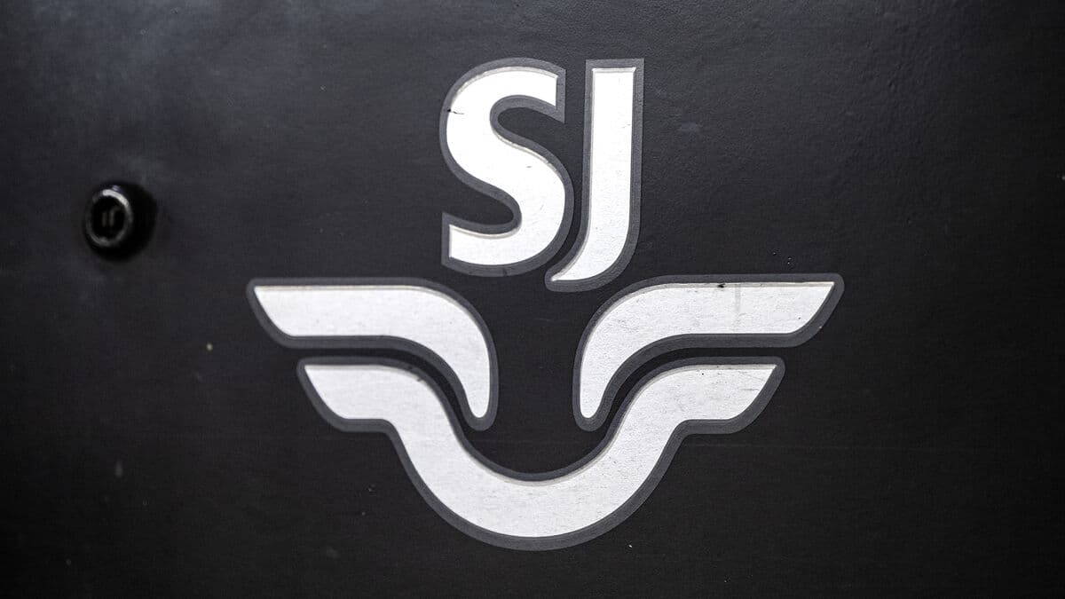 Contact line downed – train stop until Thursday