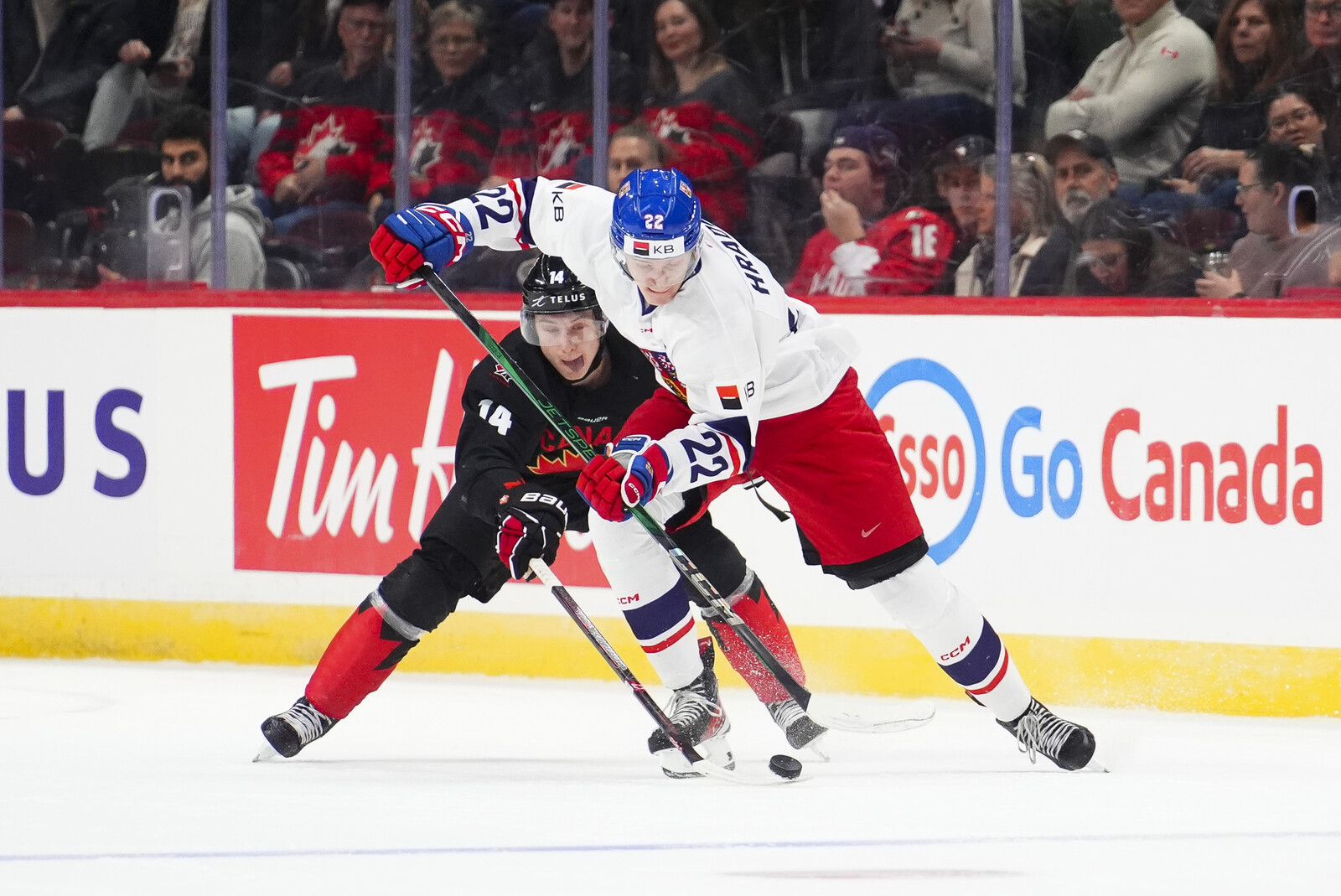 The Czech Republic won - group final against Sweden awaits