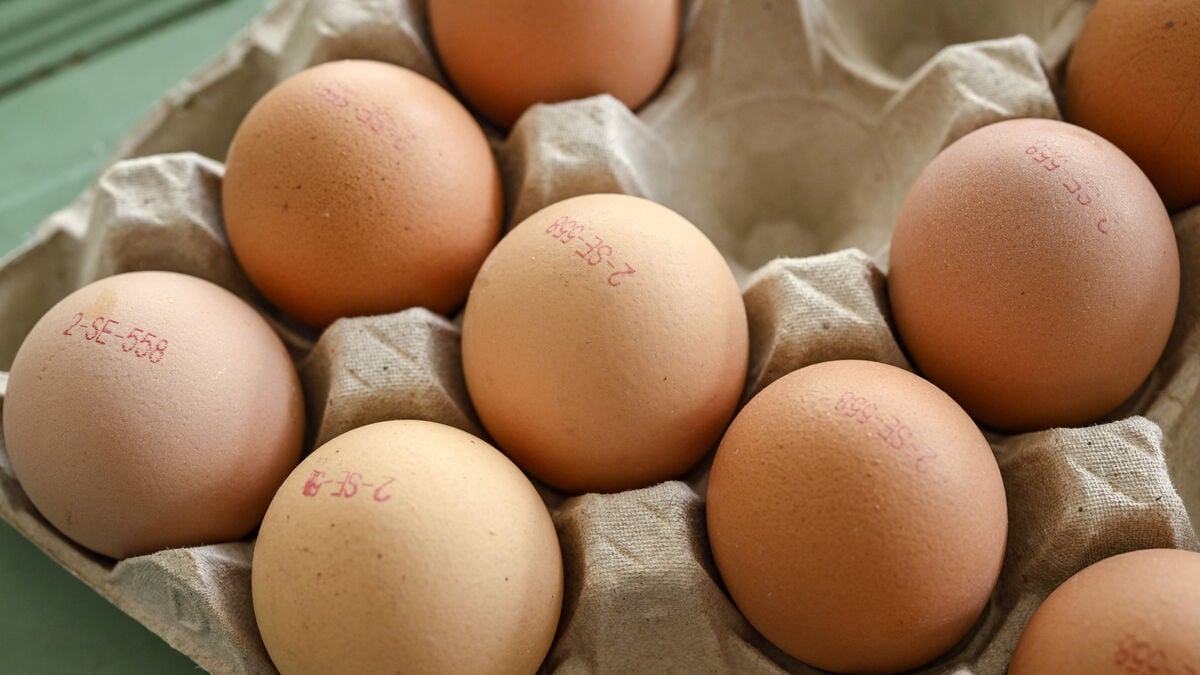 Eggs recalled after salmonella risk