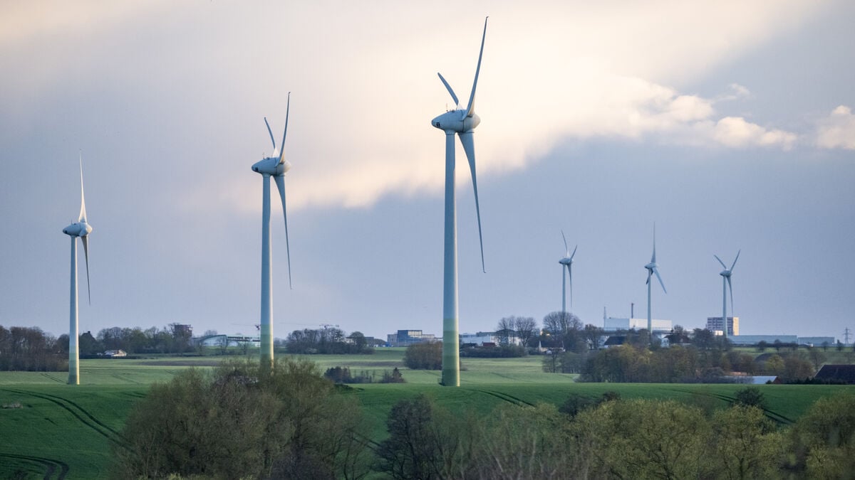 Neighbors of wind turbines may be able to have their homes bought out