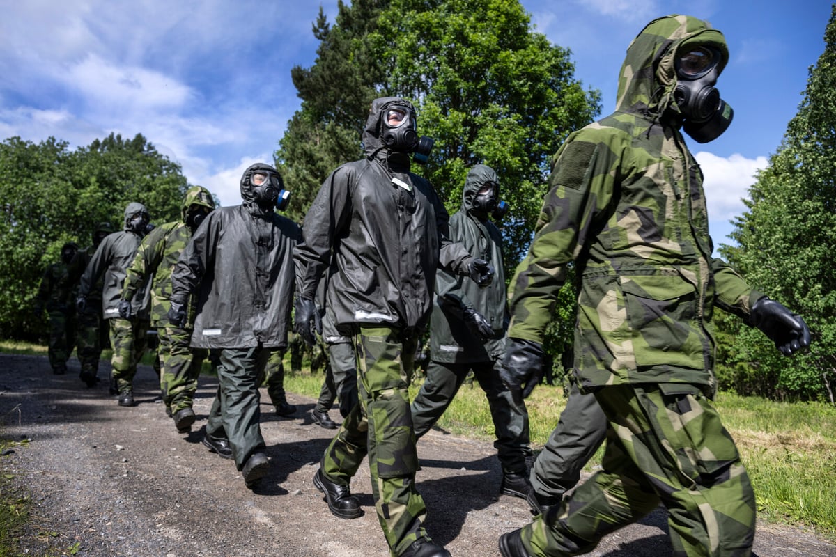Sweden's Home Guard Offers Intensive 5-Week Rifle Soldier Training