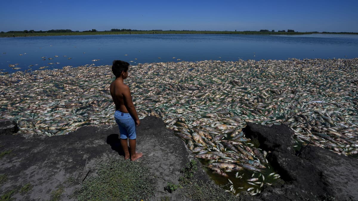 The Paris Agreement a success – despite record emissions