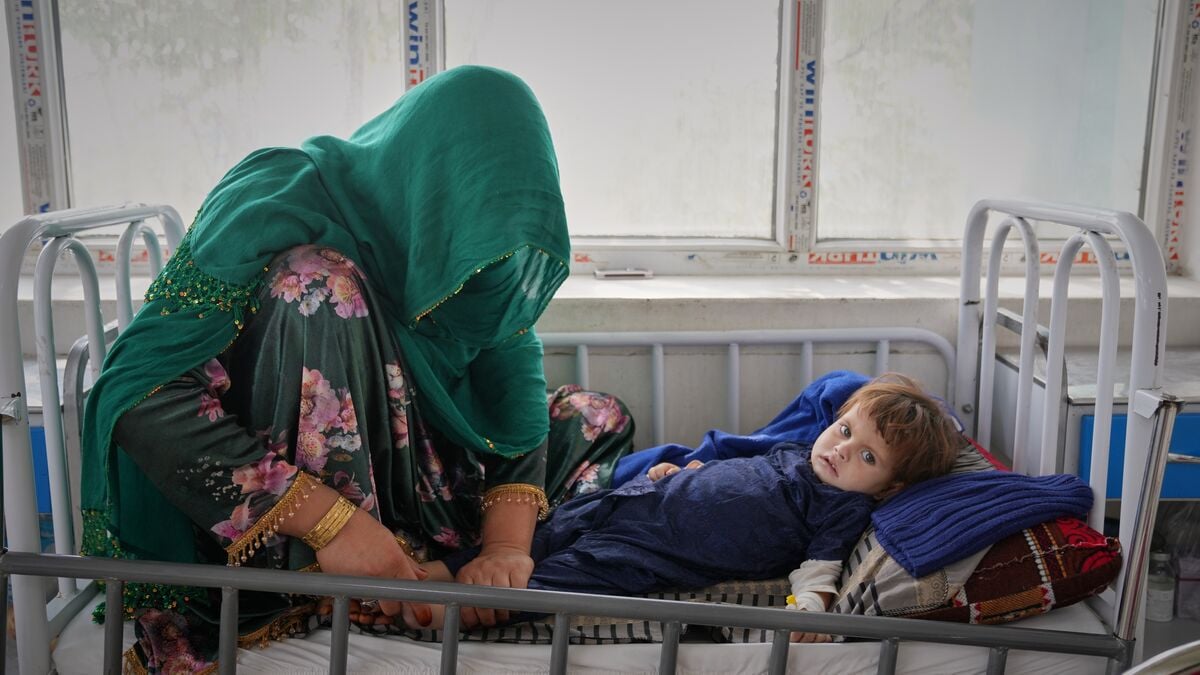 Aid cuts push Afghan children into hunger as malnutrition reaches record levels