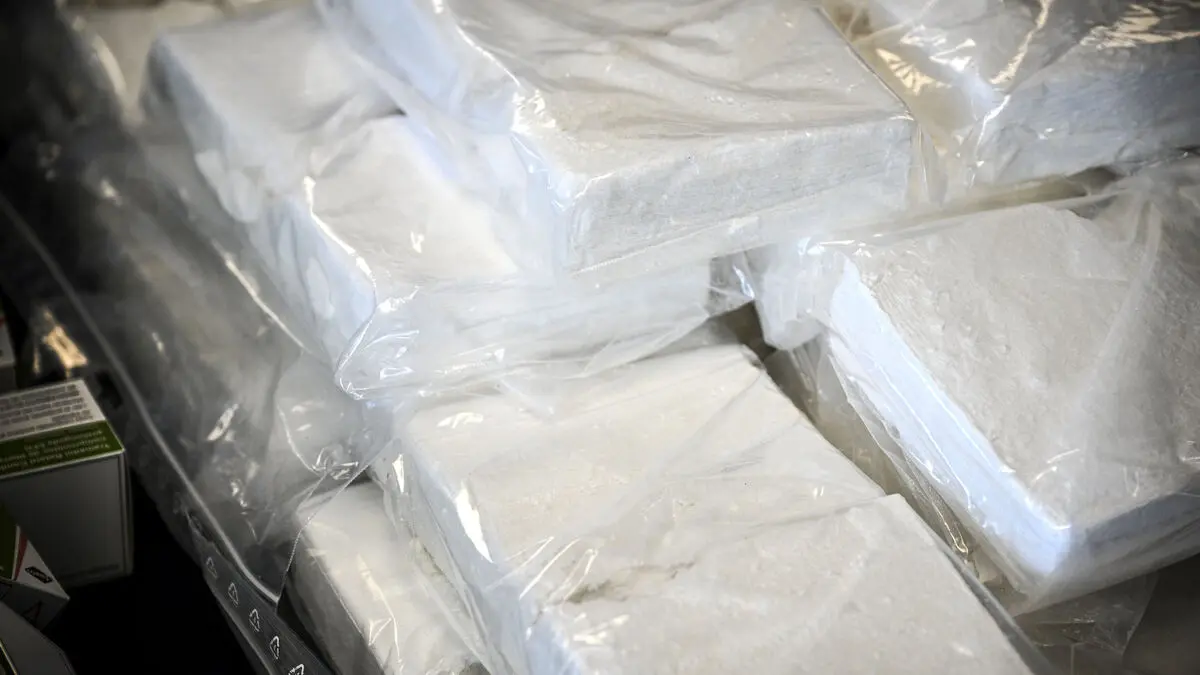 Smuggled 38 kilos of cocaine with three children in the car