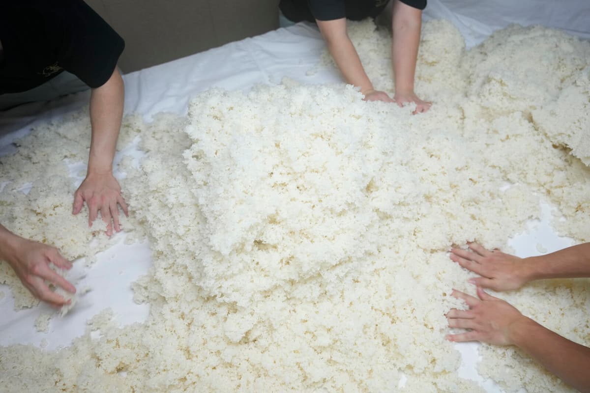 Rice Trade Dispute Halts US-Japan Customs Talks