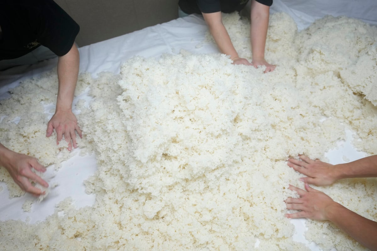 Rice Trade Dispute Halts US-Japan Customs Talks