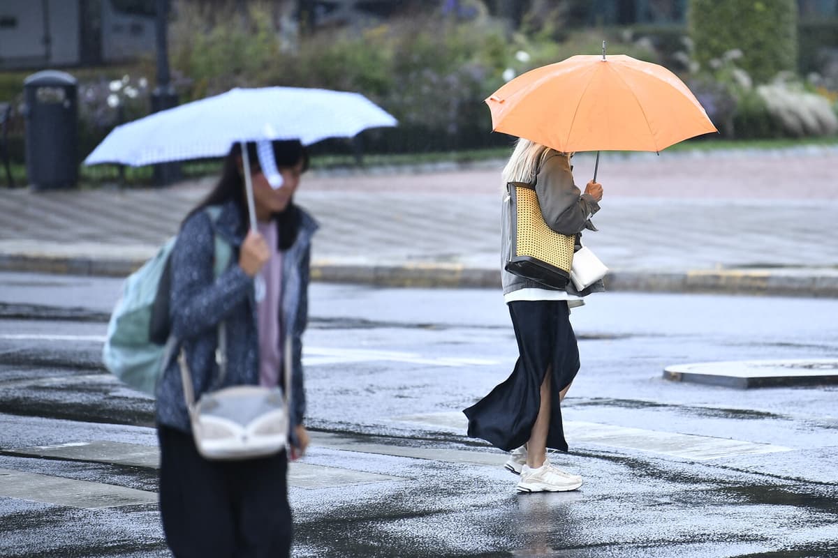 Heavy Rain and Thunderstorms Expected as SMHI Issues Yellow Warning