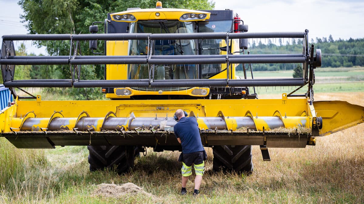 Lantmännen warns of worse-than-usual forecast for this year's Swedish harvest