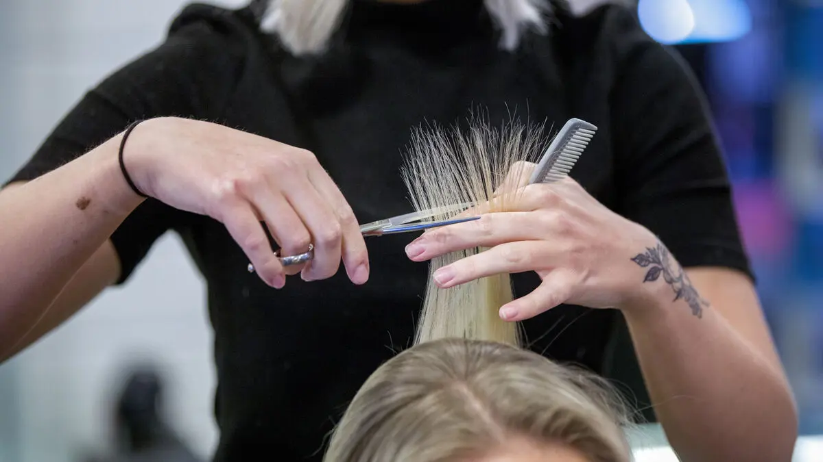 Service sector slows slightly in December