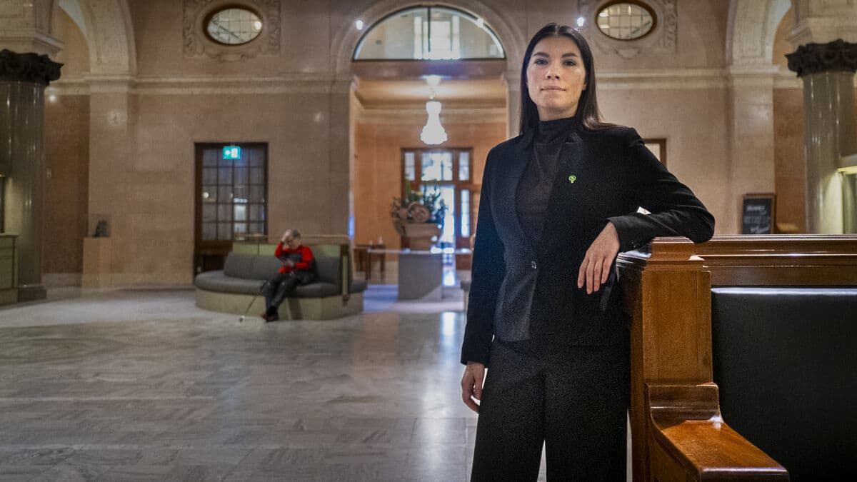 SD accused of abusing Riksdag set-off system in vote