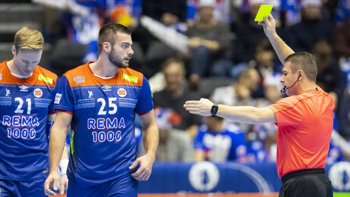 Referees cheated with fitness tests - banned from European Handball Championship