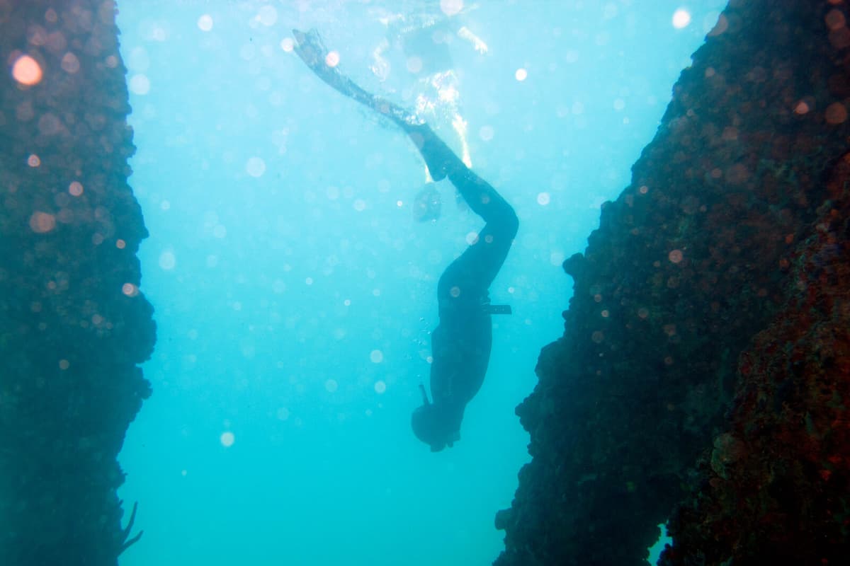 Swedish Freediver Sets Record with World Championship Gold