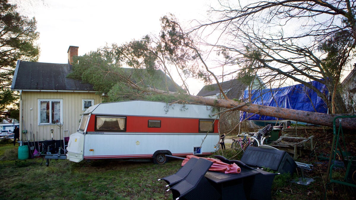 What is not covered by insurance after the storm