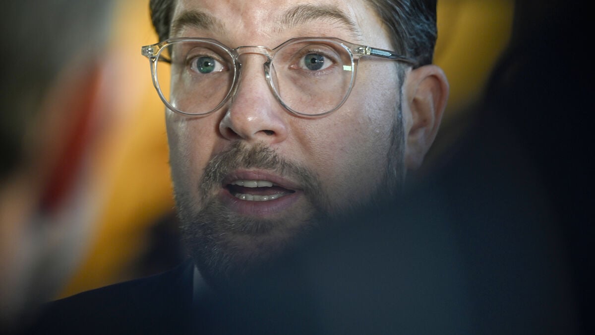 Åkesson Calls for Tomasson's Resignation After World Cup Qualifying Losses