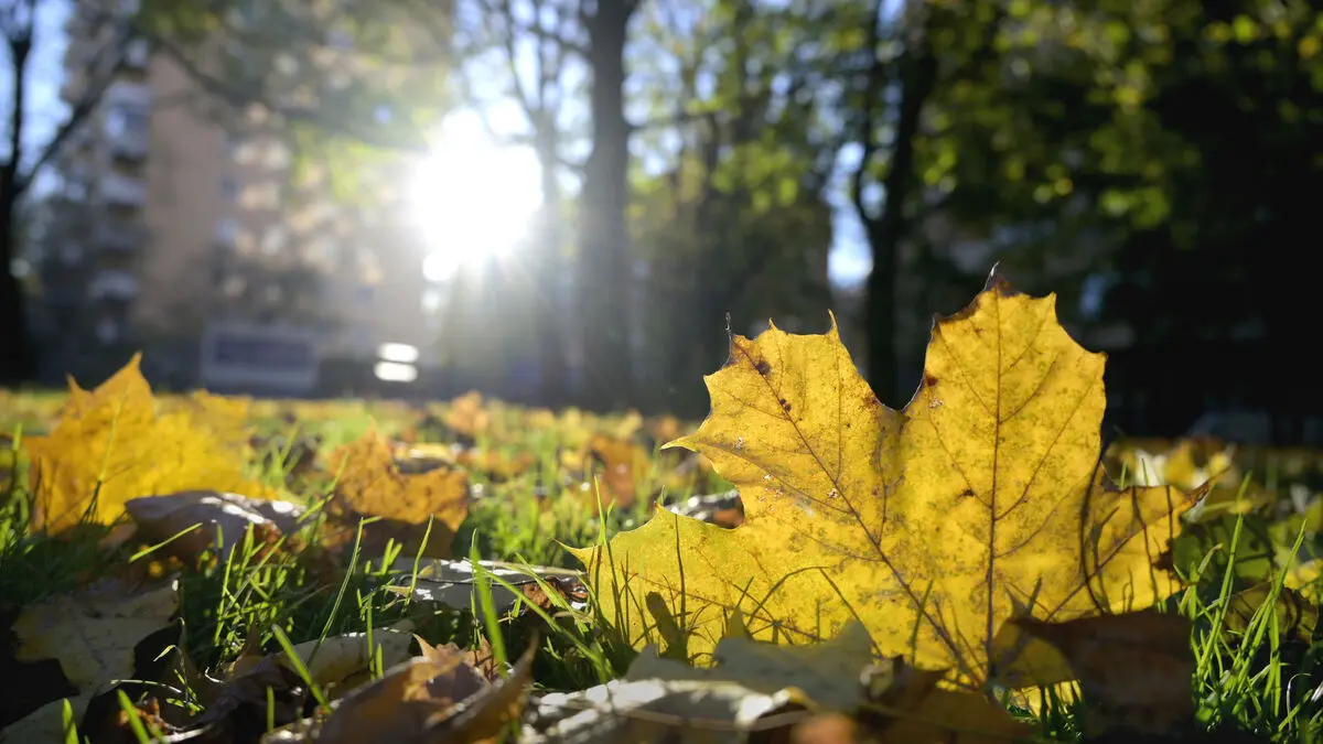 Autumn chill easing as sunny week is forecast in Sweden