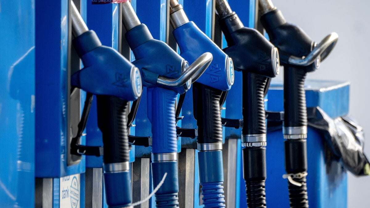 OPEC eases oil pressure – despite surplus