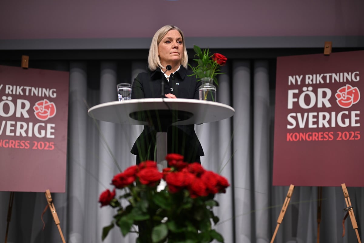 Social Democrats Target 2026 Election Win with New Strategy