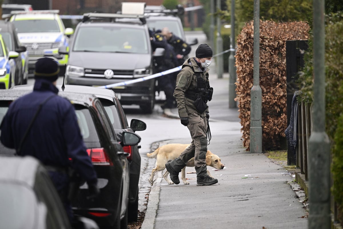 Malmö Man Sentenced to Life for Murdering Father with Bayonet