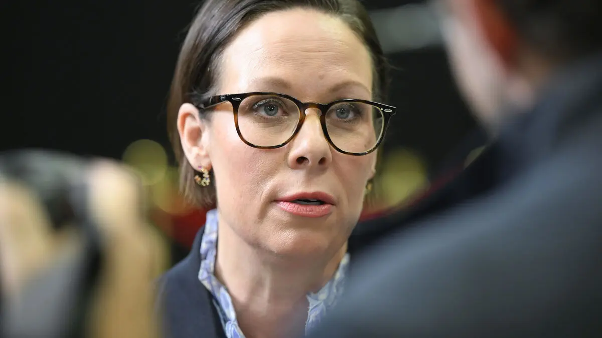 Foreign Minister: No Swedish weapons in Sudan