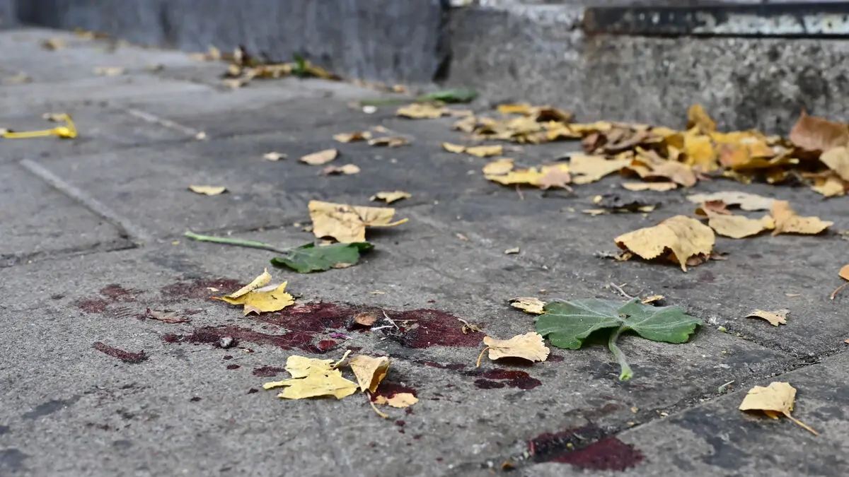 Boy, 13, to stand trial over Gävle shooting after Foxtrot order, prosecutors say