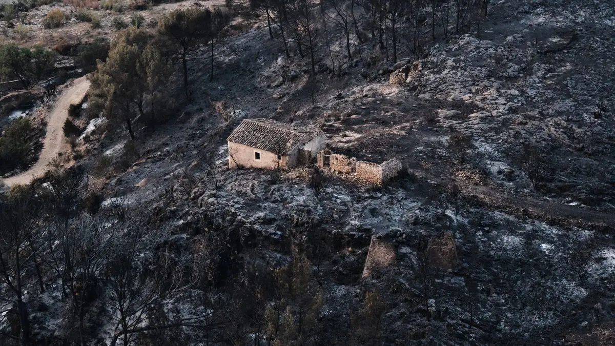Spain wildfire killed 12 foreign nationals among 13 dead, authorities say