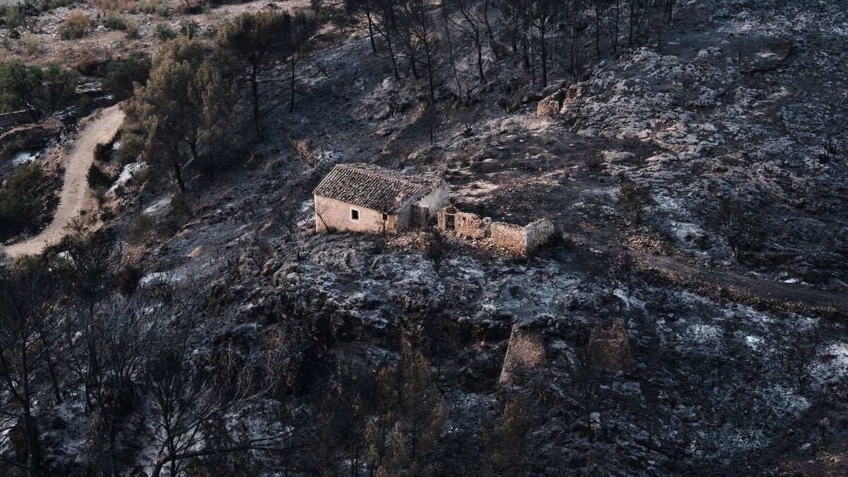 Spain wildfire killed 12 foreign nationals among 13 dead, authorities say