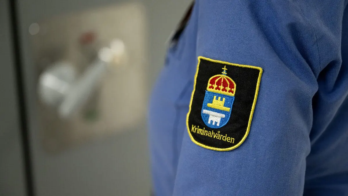 Convicted sex offenders placed in children's facilities in Sweden