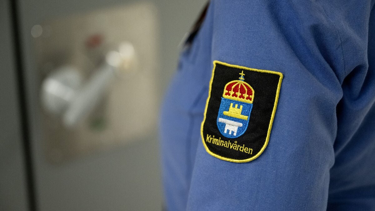 Convicted sex offenders placed in children's facilities in Sweden